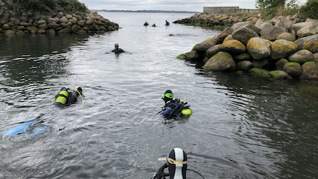 Dykkertur 31. maj - Klik for at tilmelde dig