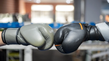 Boksning - Søften forår 2026 - Klik for at tilmelde dig